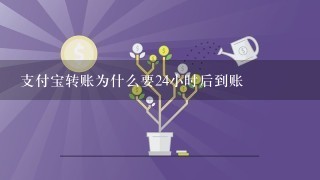 支付宝转账为什么要24小时后到账