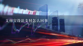 支付宝没法支付怎么回事