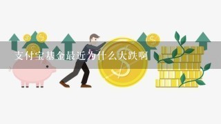 支付宝基金最近为什么大跌啊