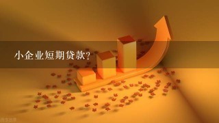 小企业短期贷款？