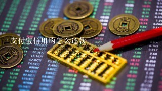 支付宝信用购怎么还款