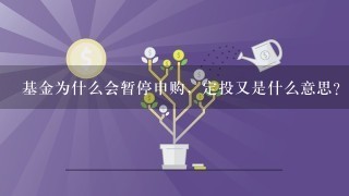 基金为什么会暂停申购，定投又是什么意思？