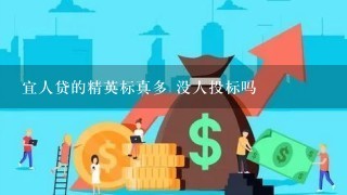 宜人贷的精英标真多 没人投标吗