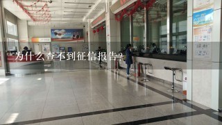 为什么查不到征信报告?