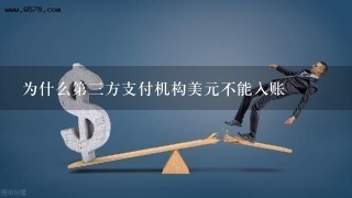 为什么第3方支付机构美元不能入账