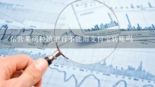 东营莱商村镇银行不能用支付宝转账吗