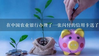 在中国农业银行办理了1张闪付的信用卡送了你1个东西，可以在网上买东西的！那个是什么来这？