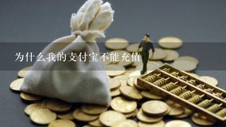 为什么我的支付宝不能充值