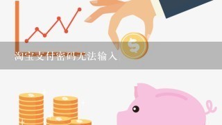 淘宝支付密码无法输入