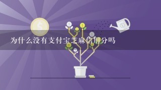 为什么没有支付宝芝麻信用分吗