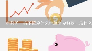 新股民，搞不懂为什么市盈率为负数，是什么意思