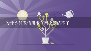 为什么浦发信用卡在网上激活不了