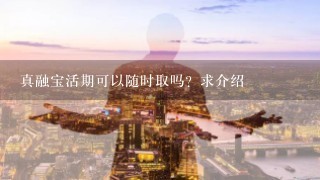 真融宝活期可以随时取吗？求介绍