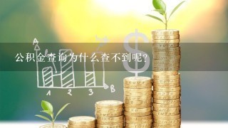 公积金查询为什么查不到呢？