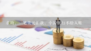 求助，1笔美元汇款，中国银行不给入账