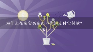 为什么在淘宝买东西不能用支付宝付款？