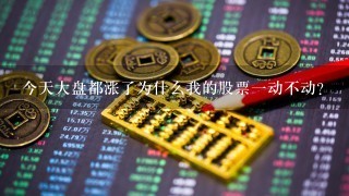 今天大盘都涨了为什么我的股票1动不动？