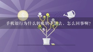 手机银行为什么转账转不出去，怎么回事啊？