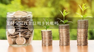 支付宝可以拿信用卡转账吗