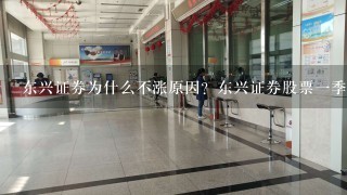 东兴证券为什么不涨原因？东兴证券股票1季度报表？东兴证券主要的业务有哪些？