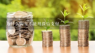 为什么淘宝不能用微信支付