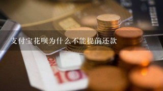 支付宝花呗为什么不能提前还款