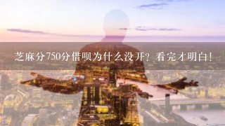 芝麻分750分借呗为什么没开？看完才明白！