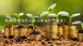 蚂蚁借呗为什么显示暂无信用额度？