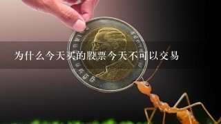 为什么今天买的股票今天不可以交易