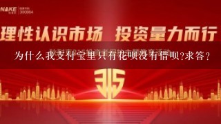 为什么我支付宝里只有花呗没有借呗?求答?