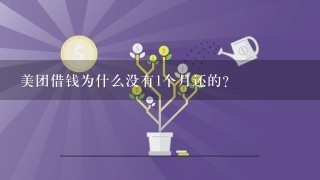 美团借钱为什么没有1个月还的？