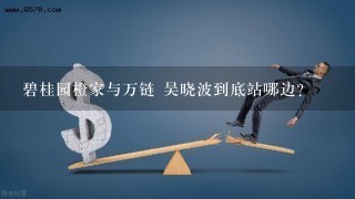 碧桂园橙家与万链 吴晓波到底站哪边？