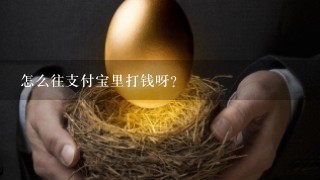 怎么往支付宝里打钱呀？