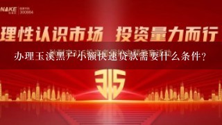 办理玉溪黑户小额快速贷款需要什么条件