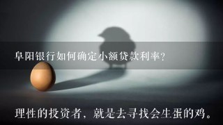 阜阳银行如何确定小额贷款利率?