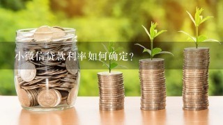 小微信贷款利率如何确定?